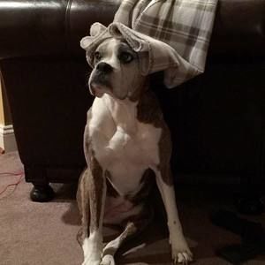 Meet your Posher, Heather